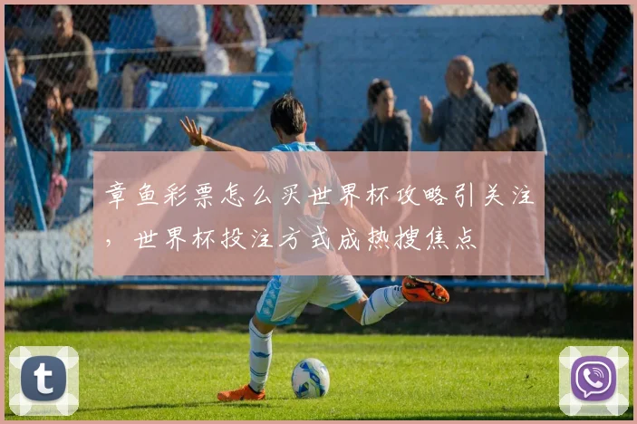 章鱼彩票怎么买世界杯攻略引关注,世界杯投注方式成热搜焦点