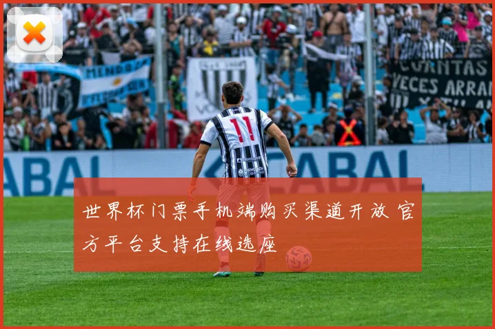 世界杯门票手机端购买渠道开放 官方平台支持在线选座