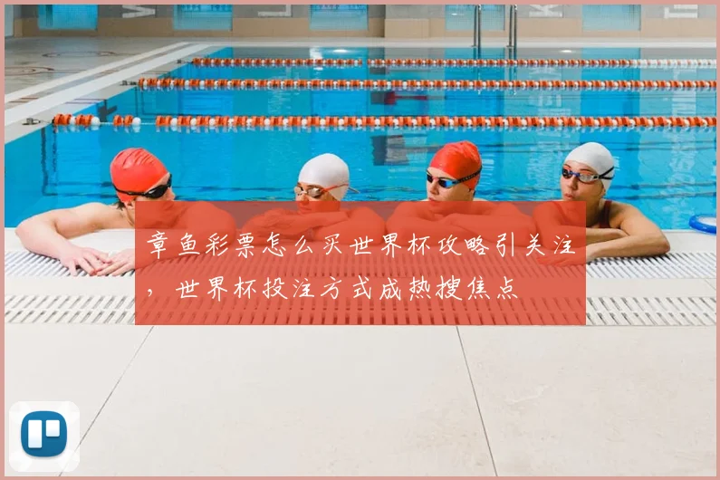 章鱼彩票怎么买世界杯攻略引关注,世界杯投注方式成热搜焦点