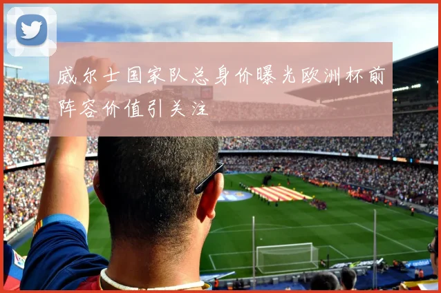 威尔士国家队总身价曝光欧洲杯前阵容价值引关注